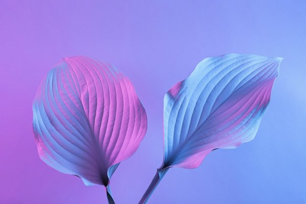 Votre agence web à angers pour des projets innovants